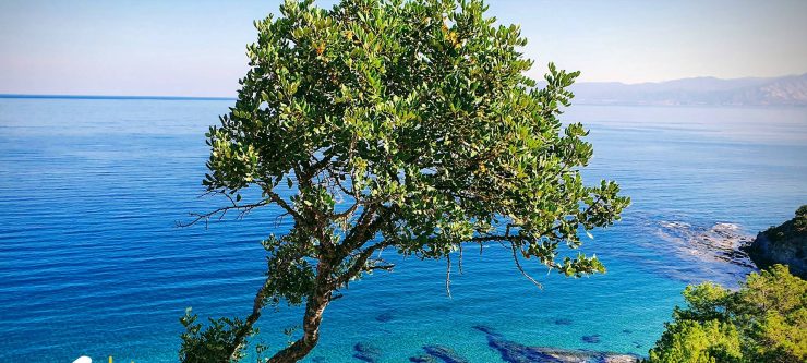 Прекрасные виды с холмов на полуостров Акамас на Кипре